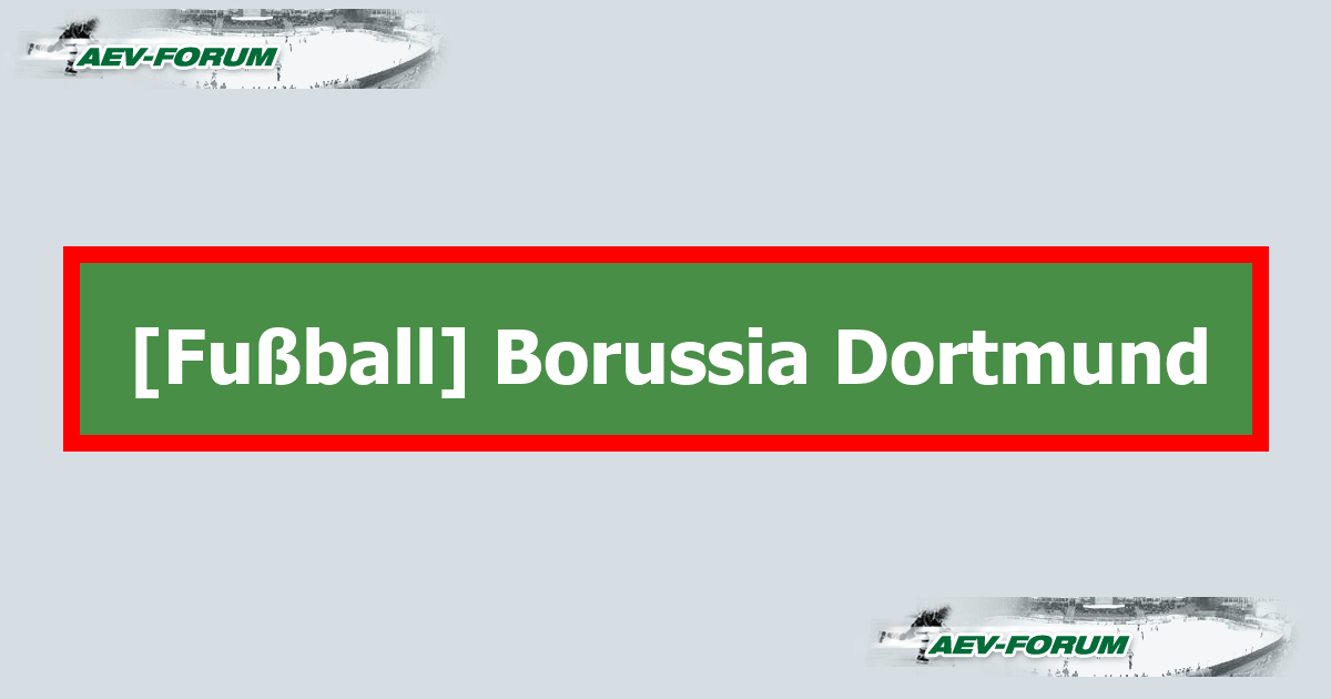 Borussia Forum 30