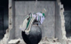 Benutzeravatar