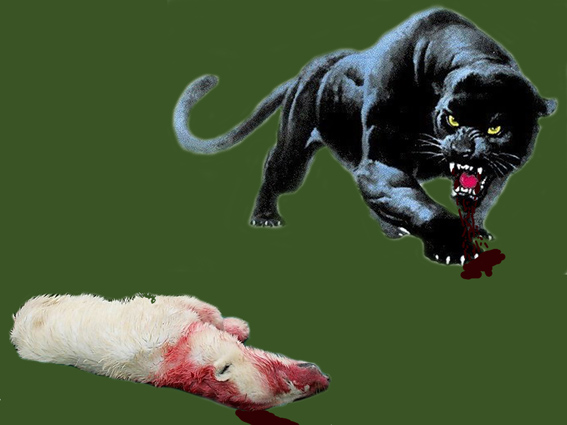 Panther-EisbÃ¤r-Tot-neu.jpg
