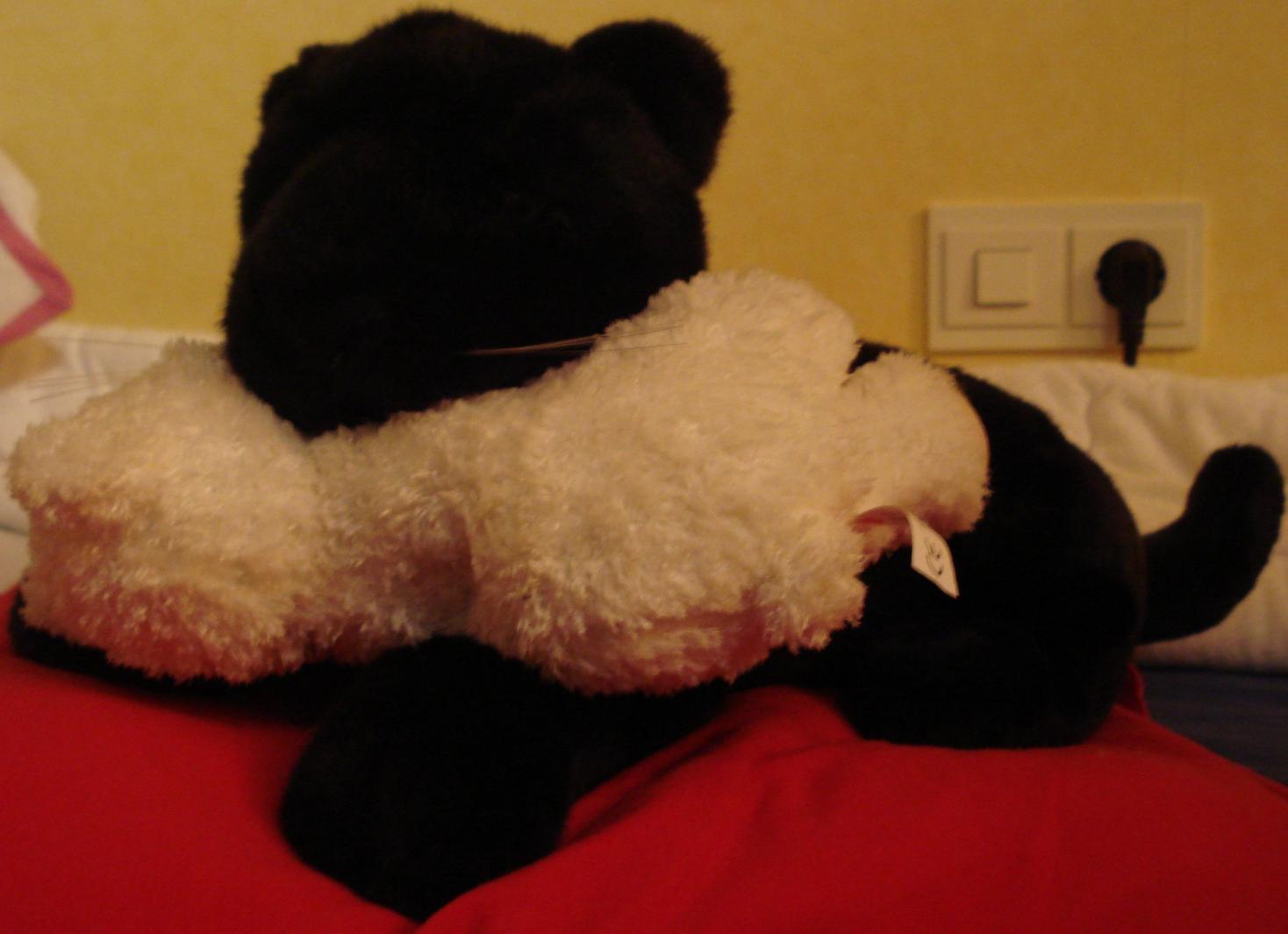 DSC03050a.jpg