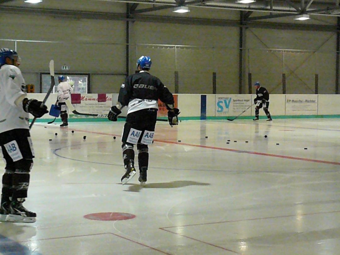 P1170224.jpg