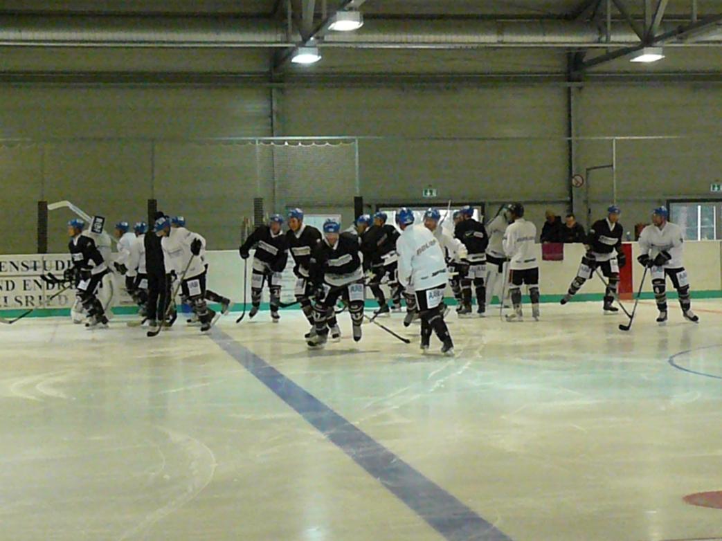 P1170275.jpg