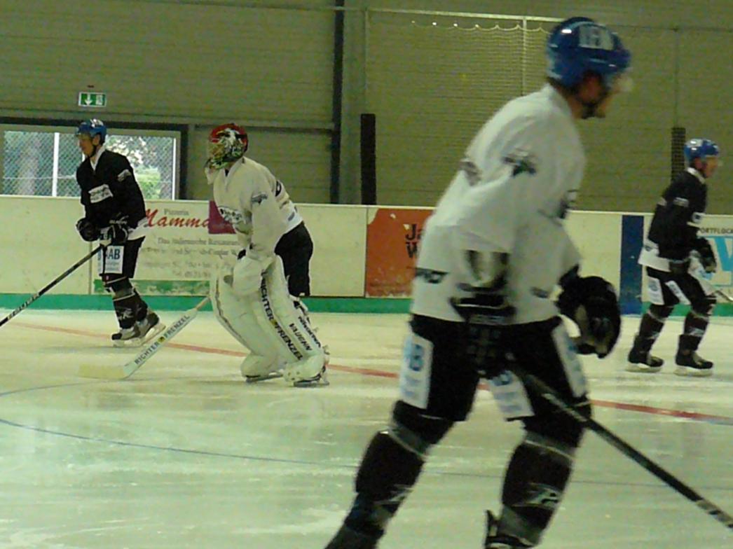 P1170314.jpg