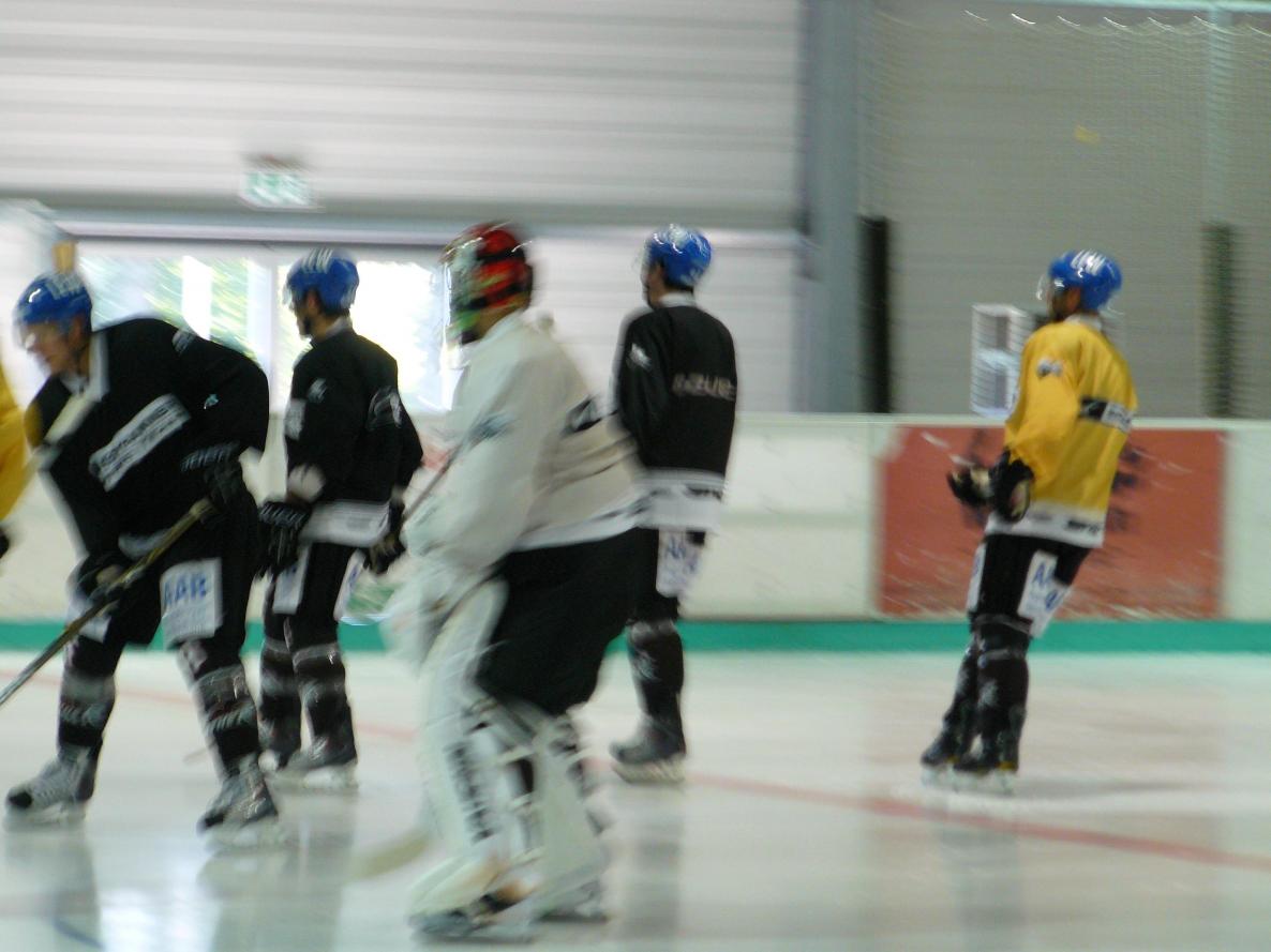 P1170429.jpg