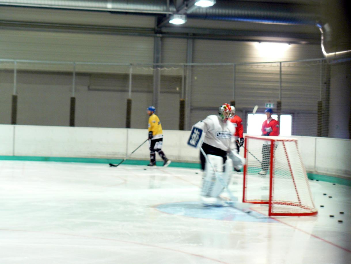 P1170445.jpg