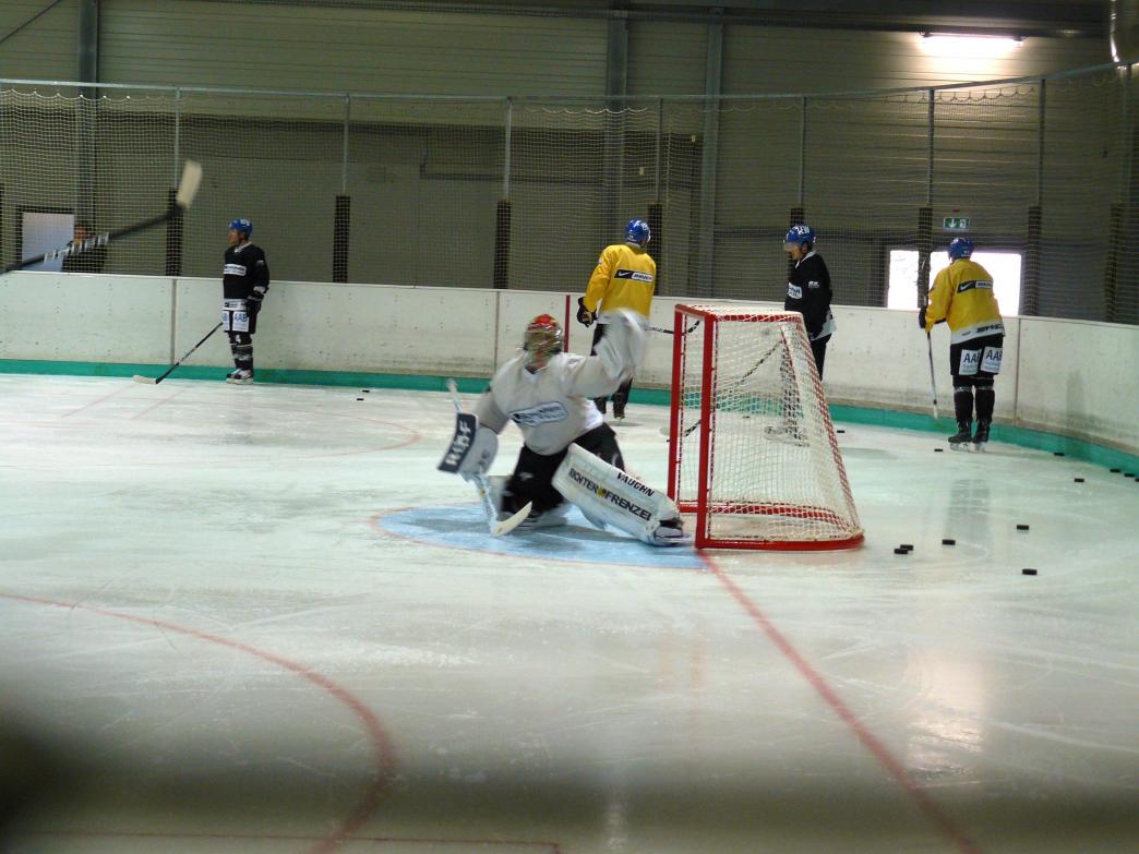 P1170461.jpg
