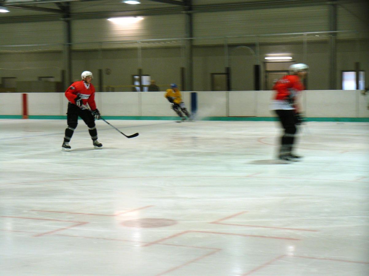 P1170462.jpg