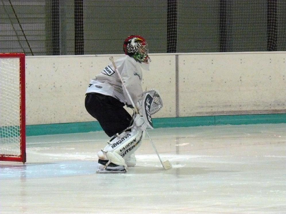 P1170678.jpg