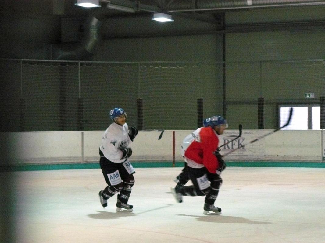 P1180203.jpg