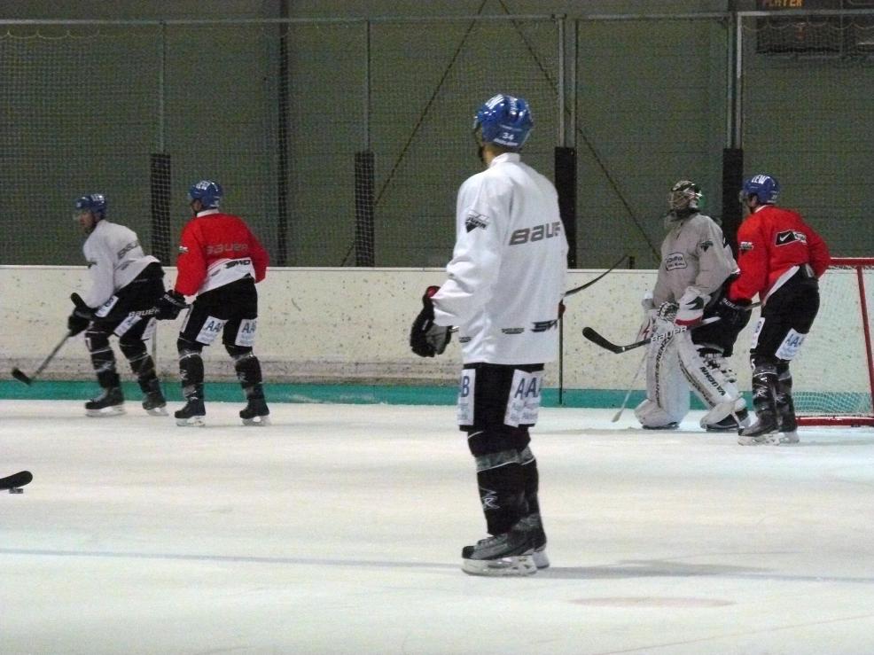 P1180231.jpg