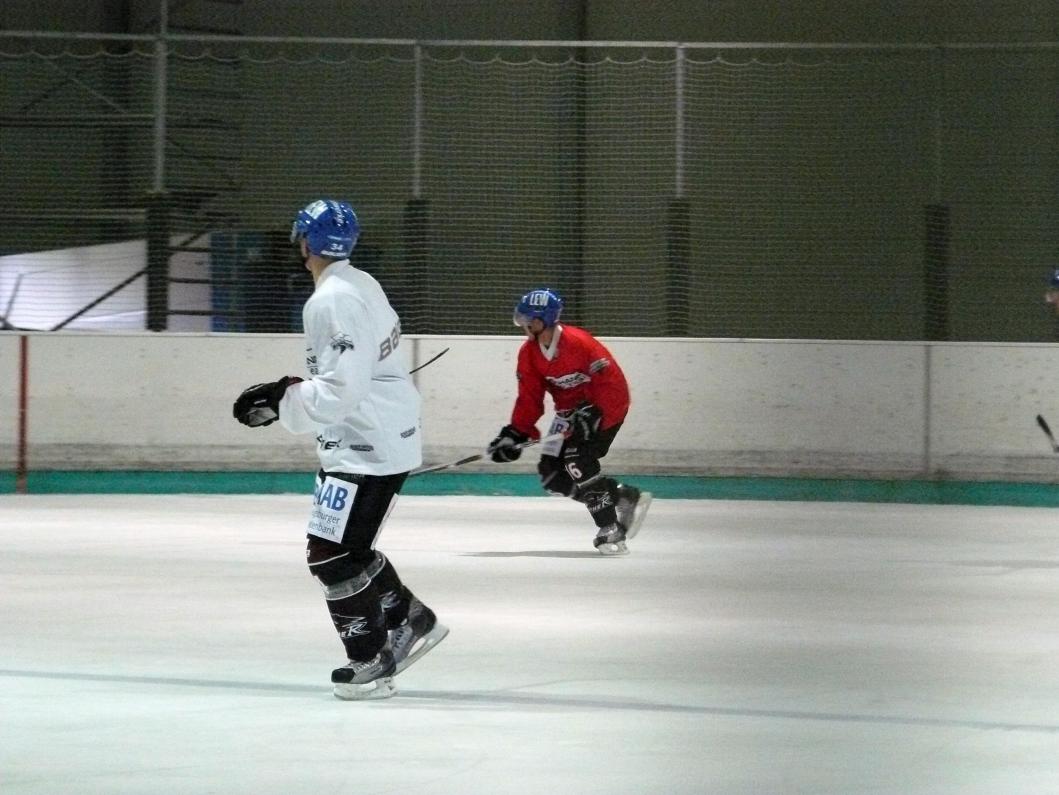 P1180237.jpg
