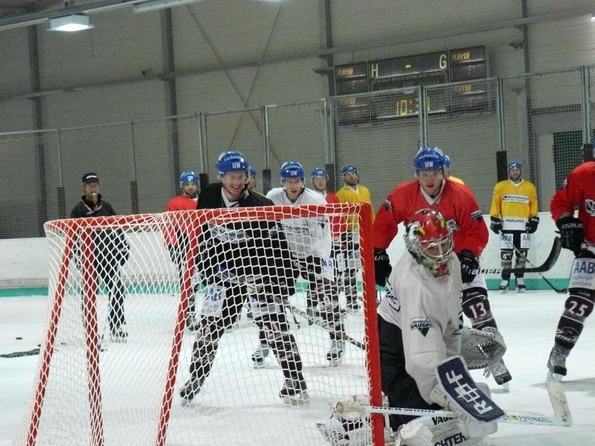 P1180863.jpg