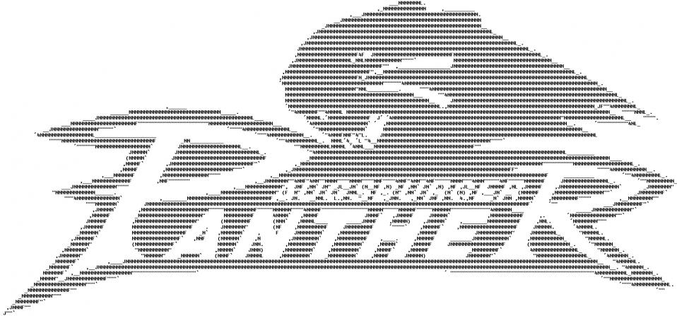 augsburgpanthersgross.jpg