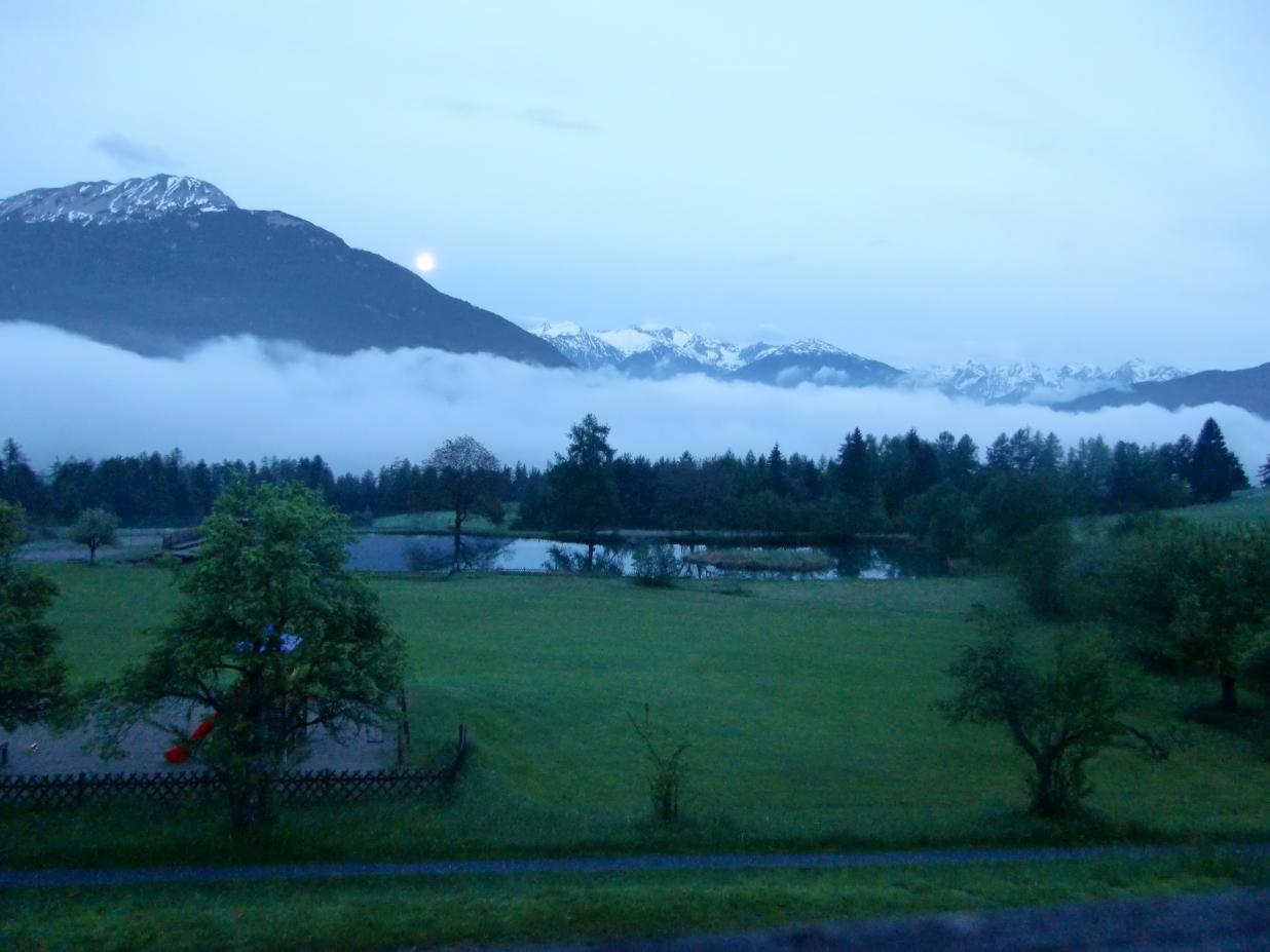 CIMG0164.jpg