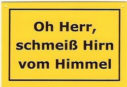 Hirn.jpg