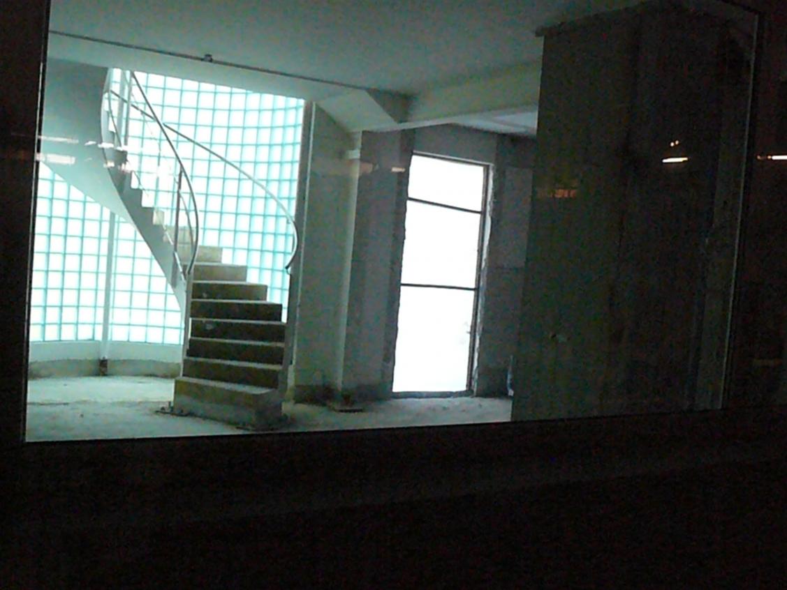 P1450499.jpg