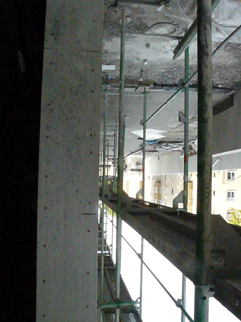 P1450504.jpg