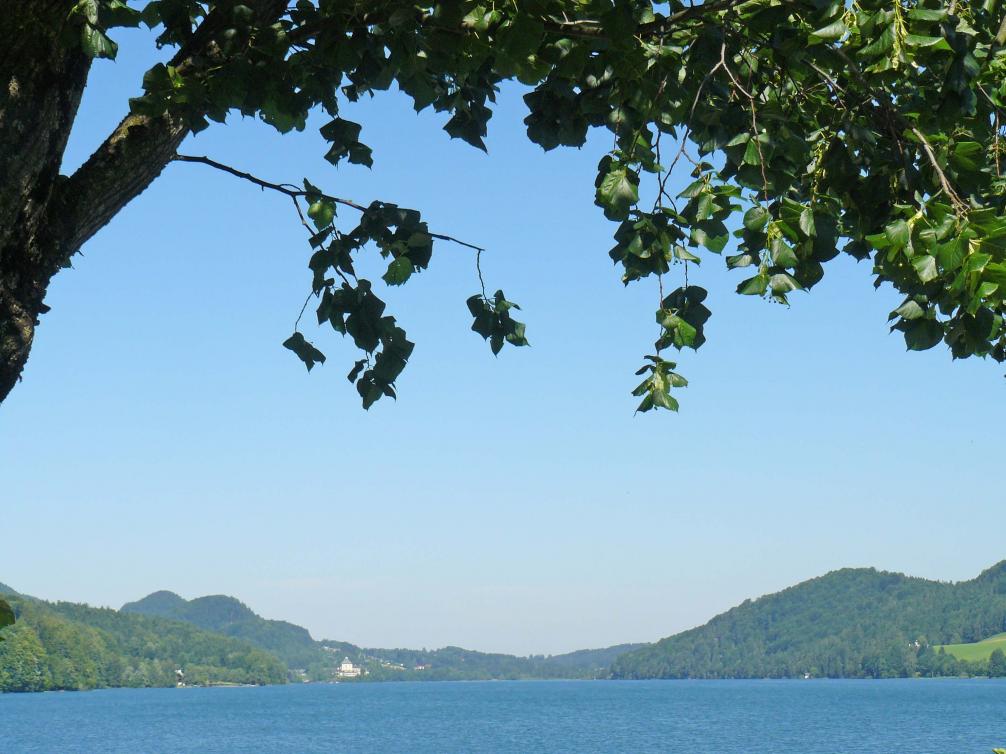 P1340566.jpg