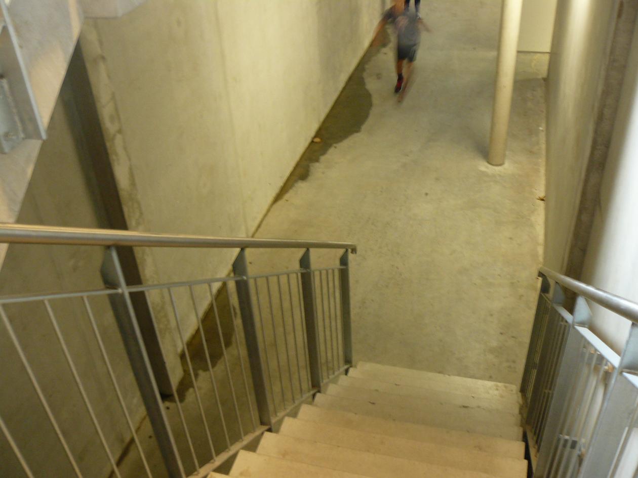 P1510731.jpg