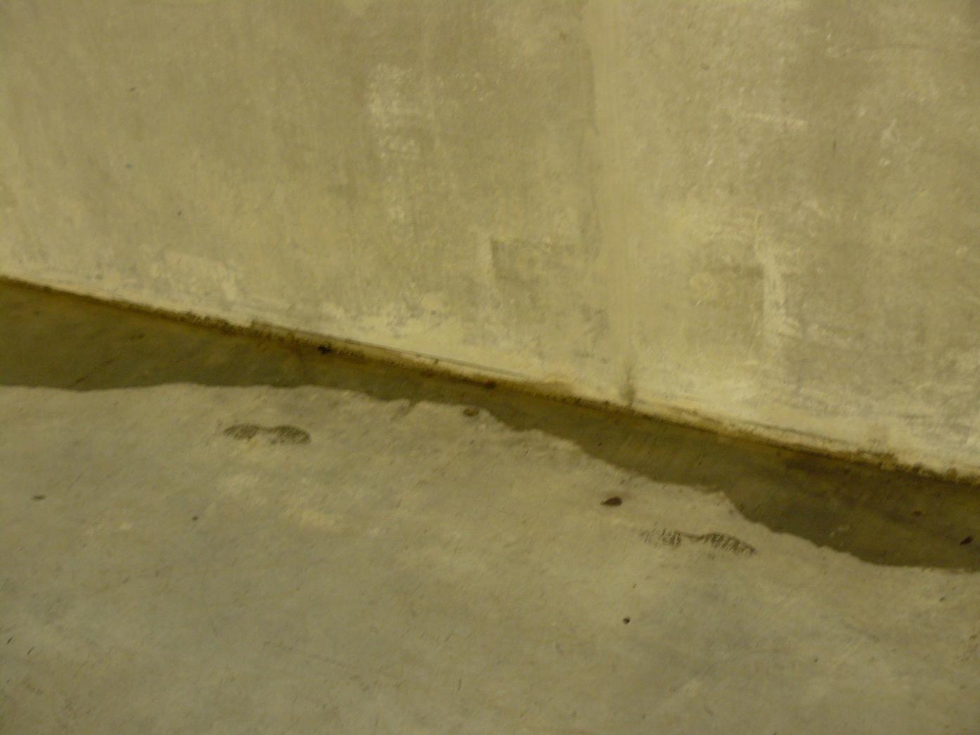 P1510734.jpg