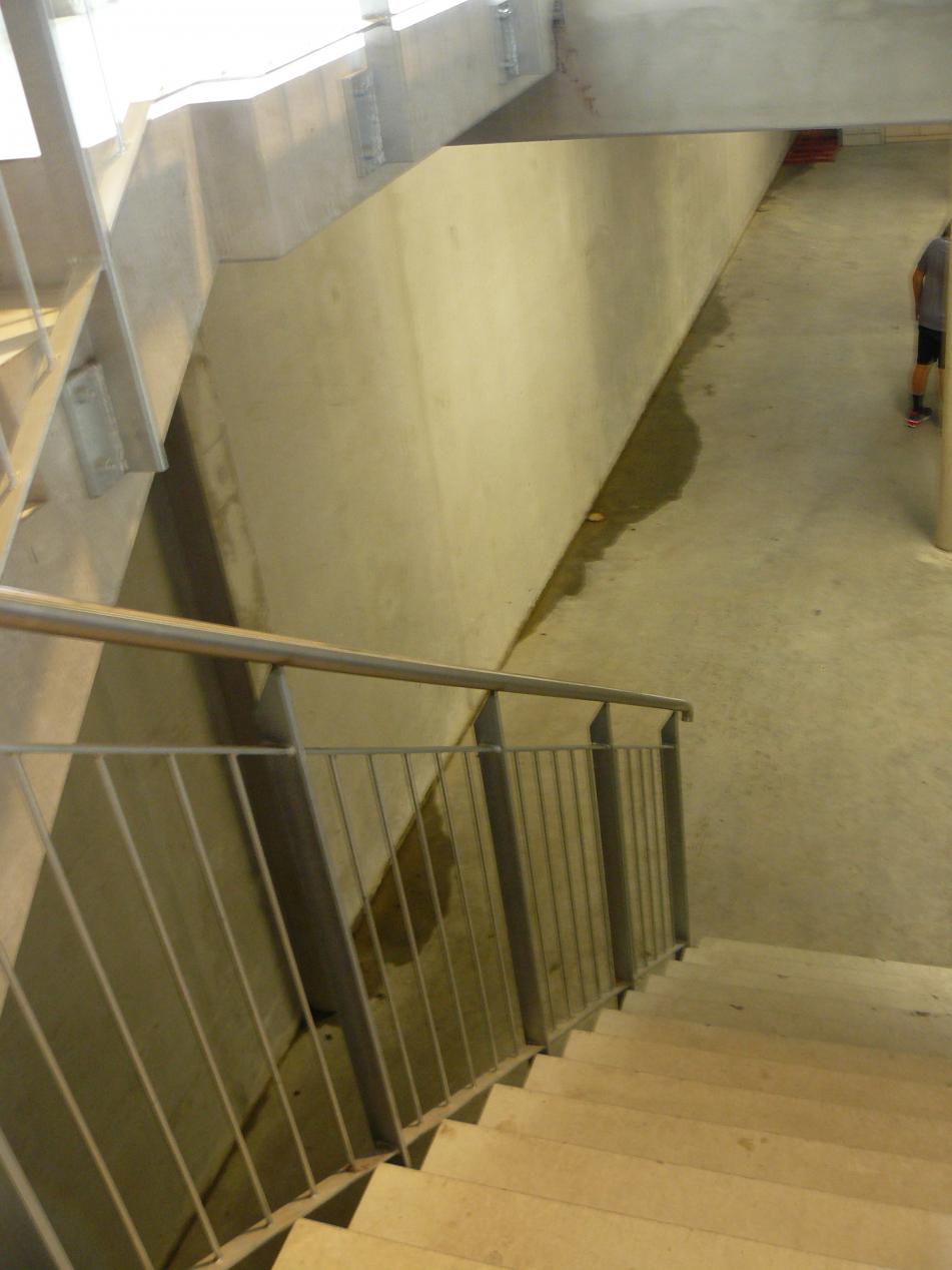 P1510735.jpg
