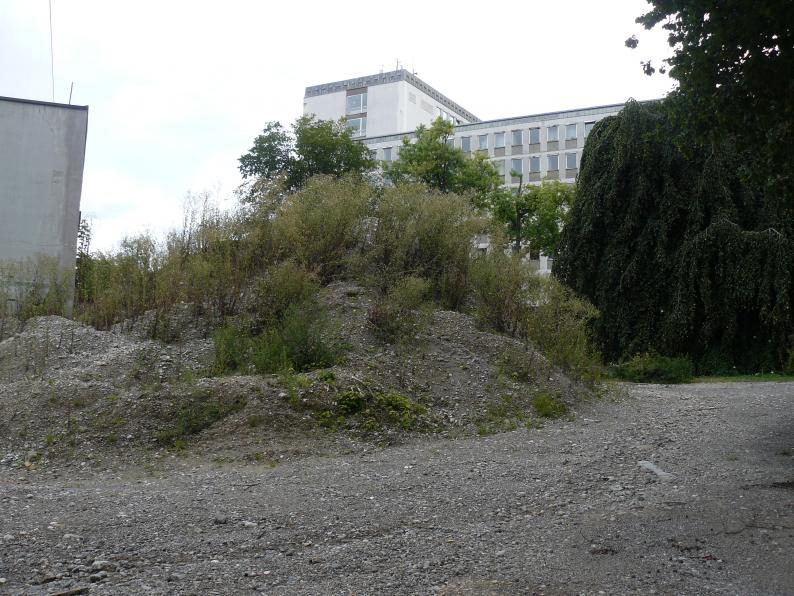 P1510783.jpg