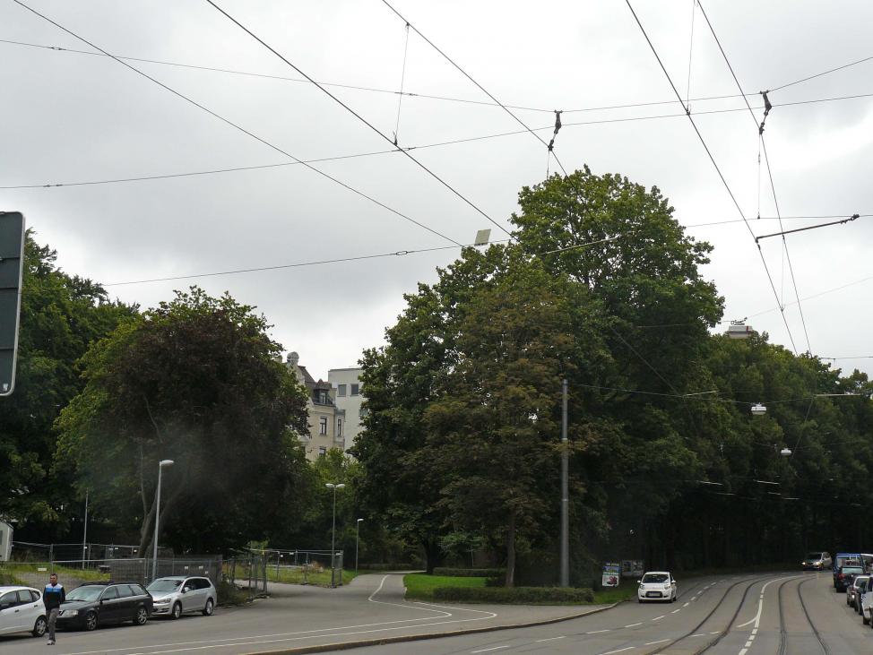 P1510894.jpg