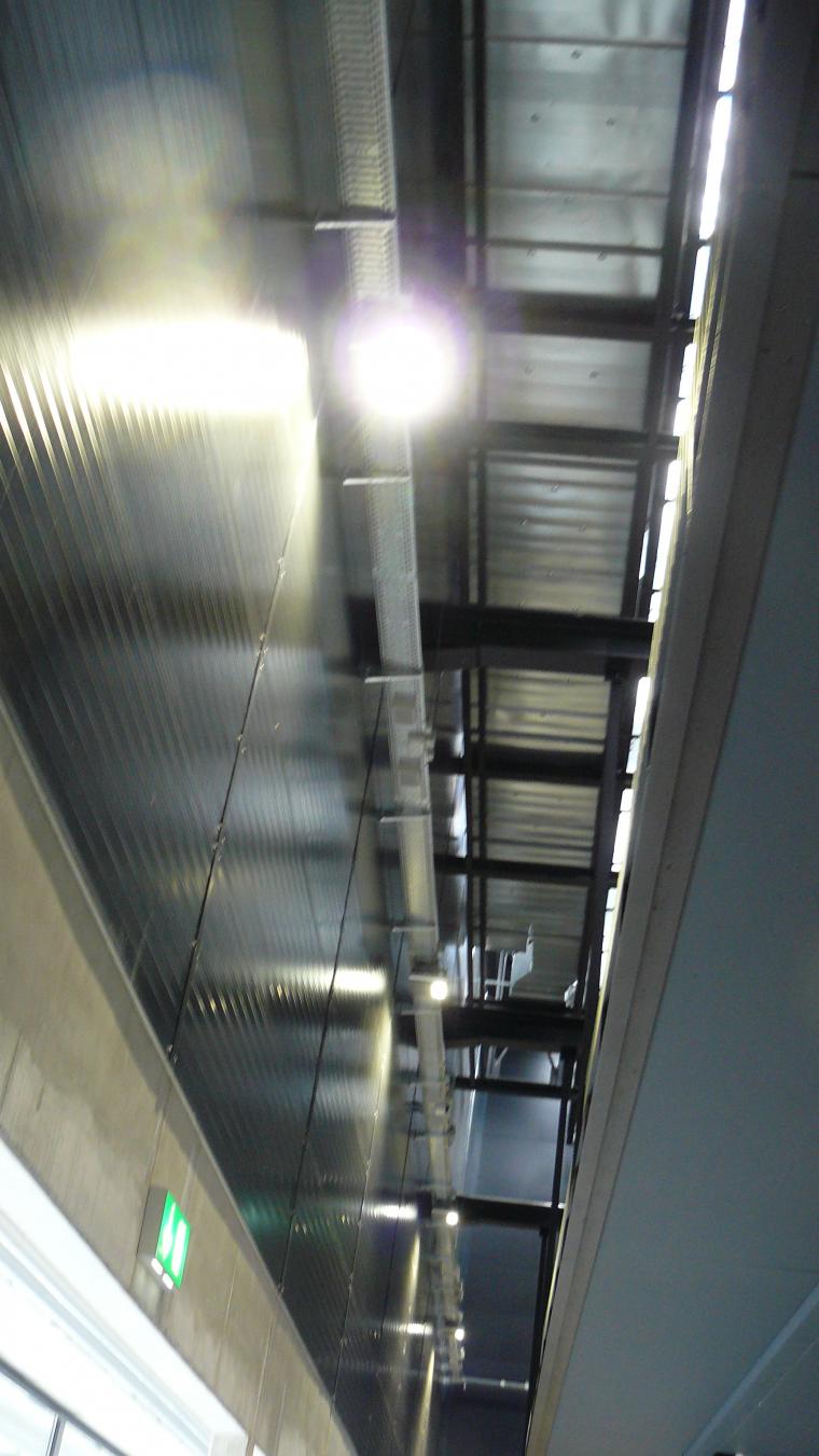 P1520124.jpg