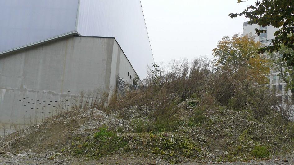 P1520298.jpg