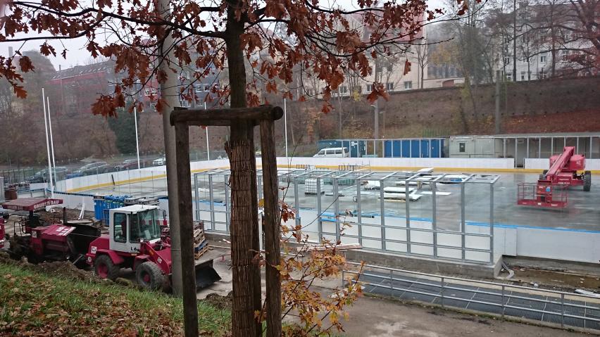 DSC_0016.jpg