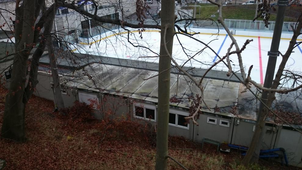 DSC_0012.jpg
