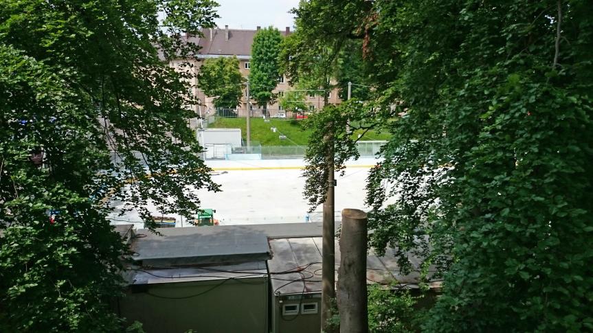 DSC_0016.jpg