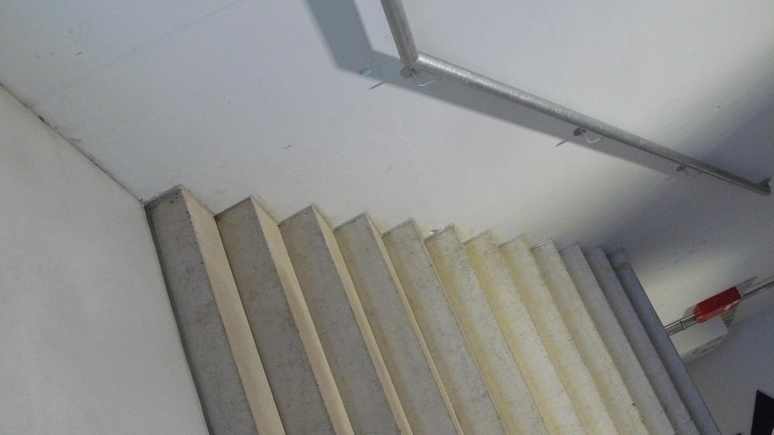 P1520810.jpg