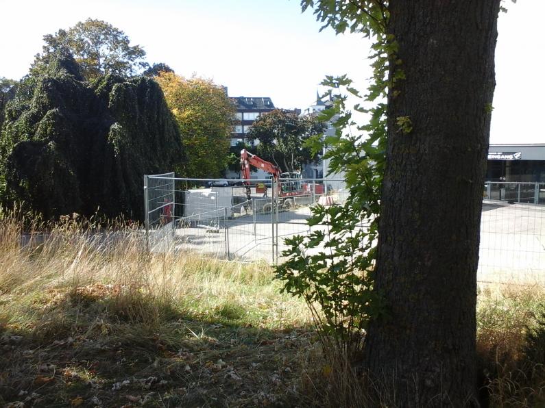 20151002_121914.jpg