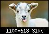 iStock-177369626_1.jpg