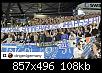 Schanzer Schweine.jpg
