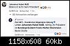 123917352_4085921691422992_7752119845050530280_o.jpg