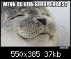 450172294_10225642923807741_4381253329186780717_n.jpg
